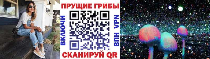 Купить закладки  Ясный  Псилоцибиновые грибы MAGIC MUSHROOMS 
